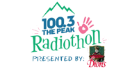 100.3 radio station logo