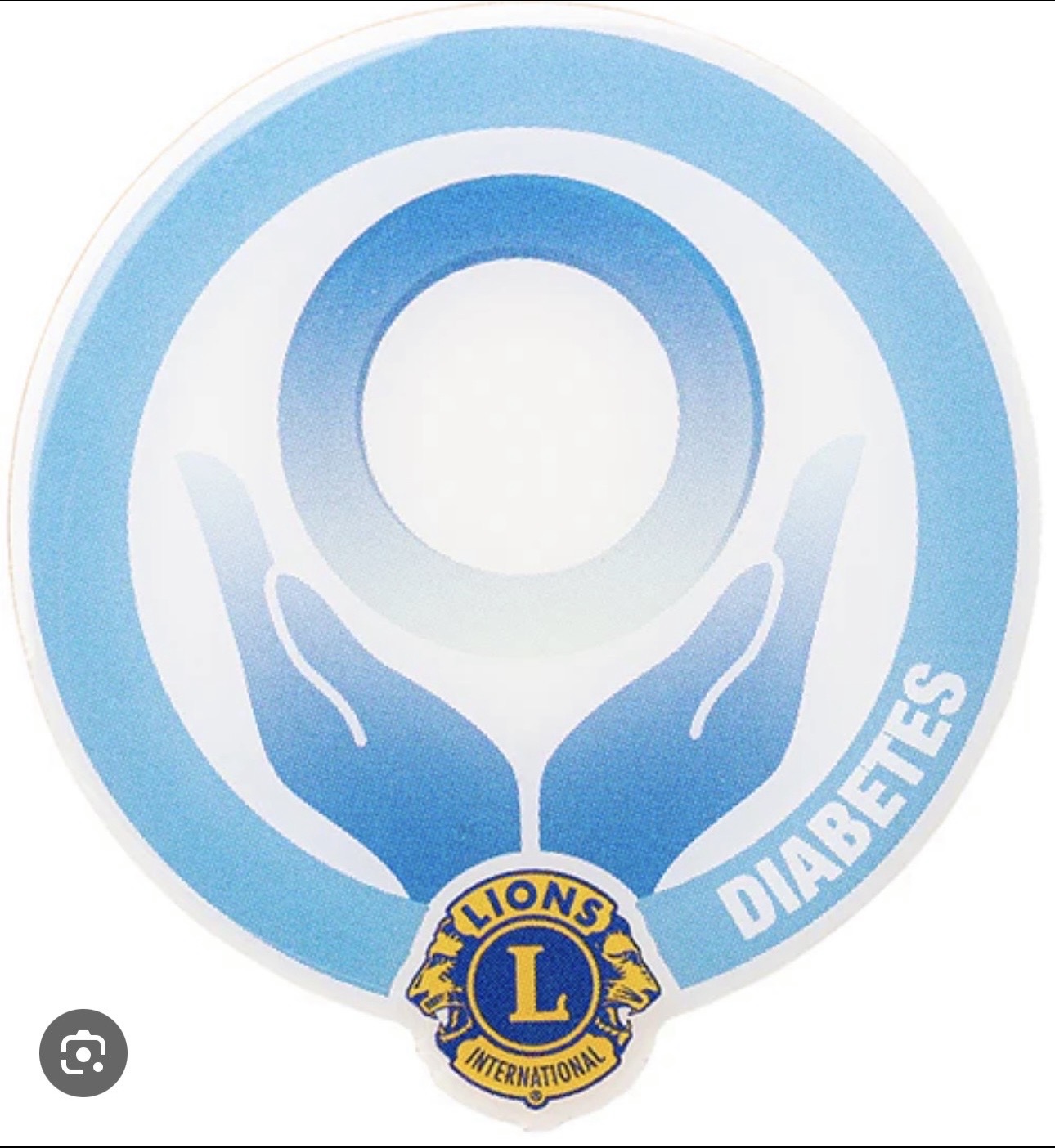 Lion's Club Diabetes Initiative Logo
