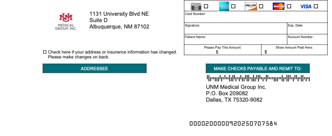 pay stub unmmg
