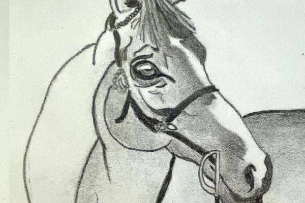 Horse drawing
