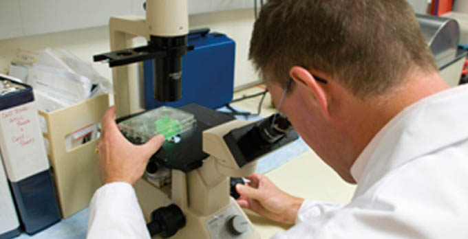 A man looks through a microscope in a lab