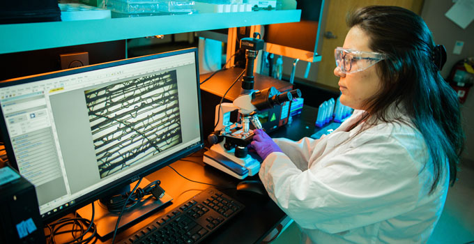 Researcher in lab.