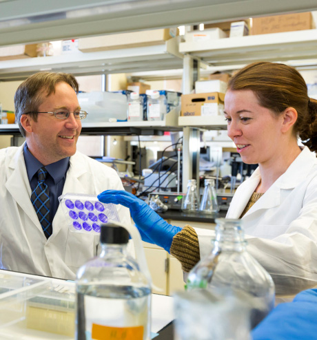 Allergists looking at samples in lab.