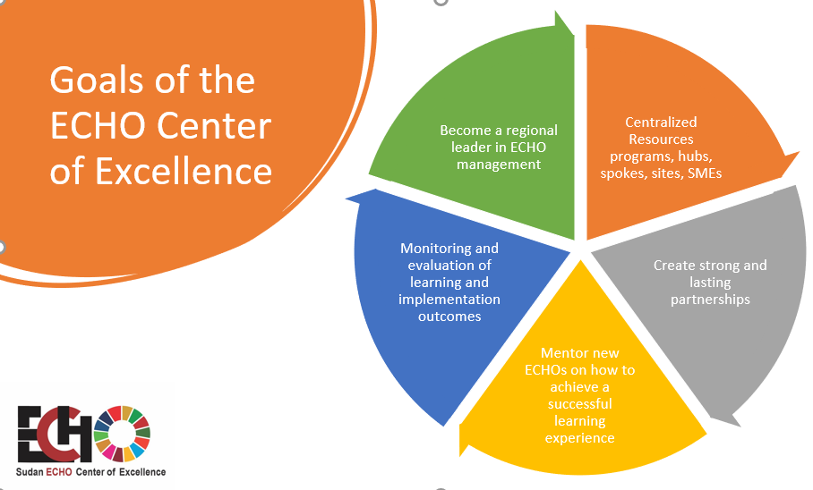 Graphics detailing the Goals of the ECHO Center of Excellence 