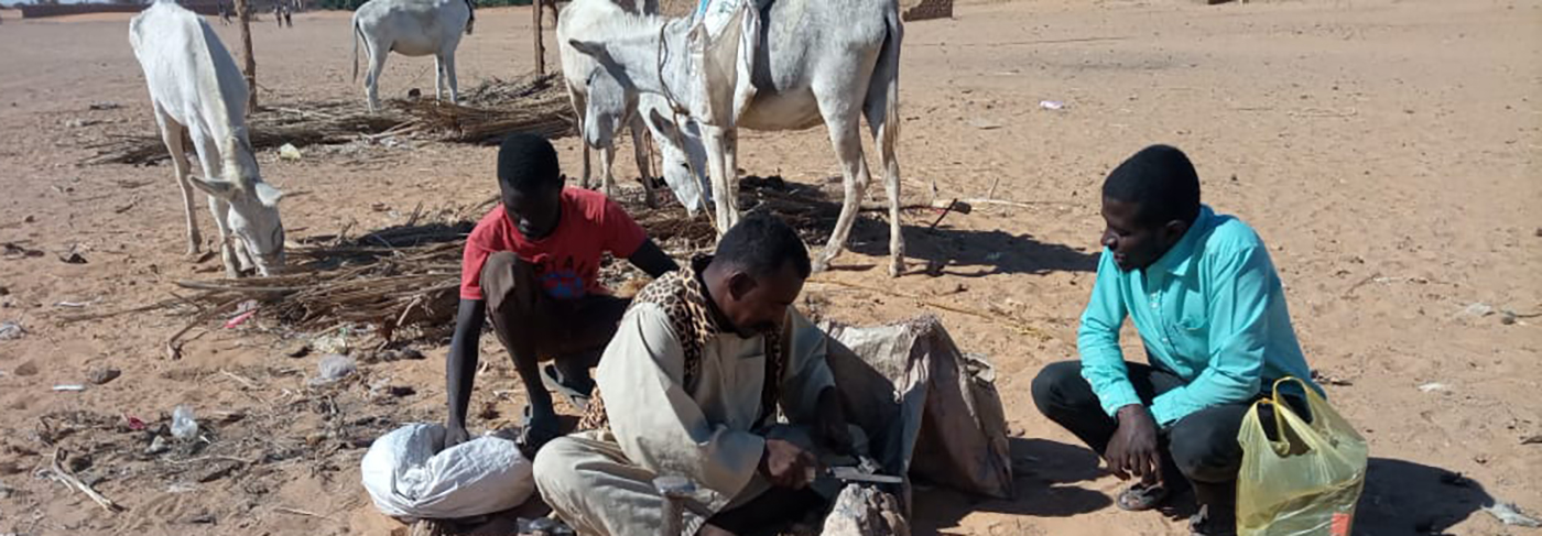 Sudanese shepherds on a farm 